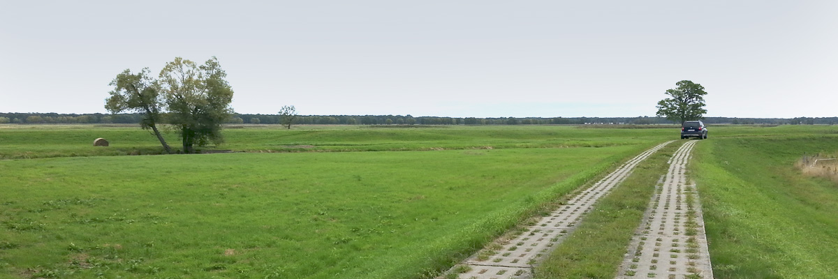 Ein Auto fährt auf einem Deichweg, nachdem eine im Deich geöffnete Stelle wieder geschlossen wurde.