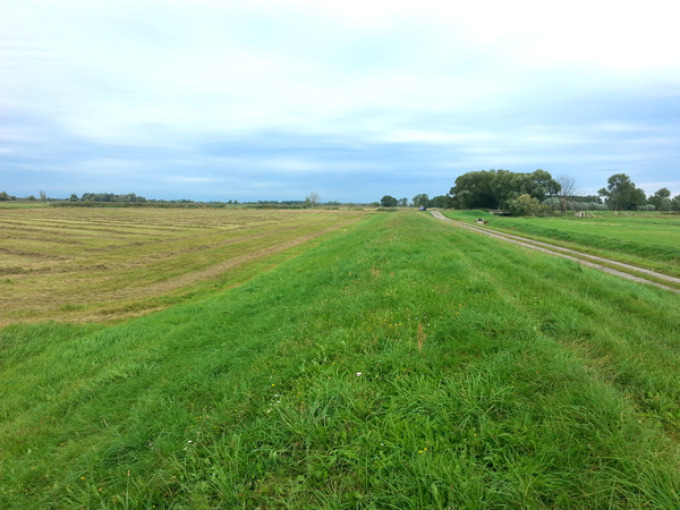 Deich mit Deichweg und Wiese, nachdem eine geöffnete Stelle im Deich im Jahr 2015 wieder geschlossen wurde.