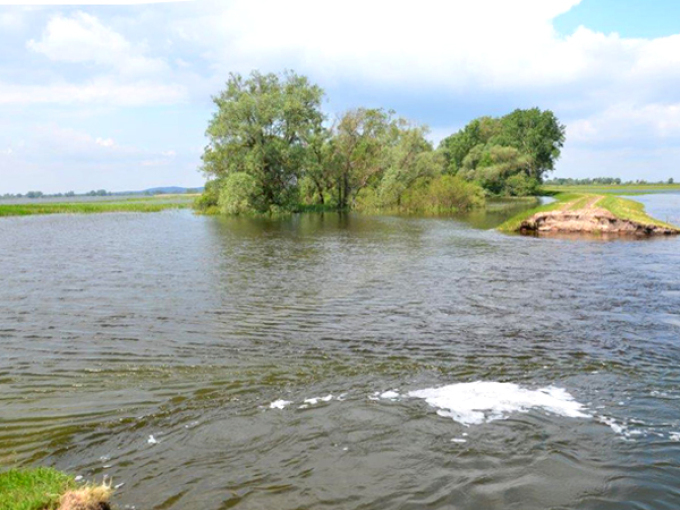 Ein Polder wird mit Wasser gefüllt.